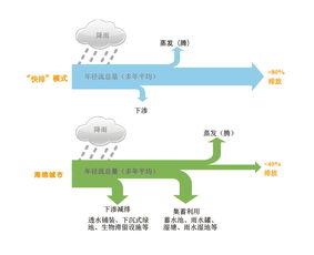 我们提供的服务